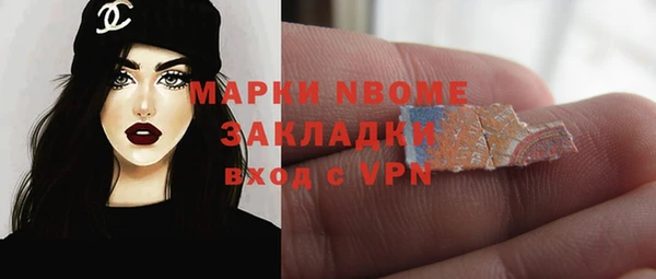 индика Мегион