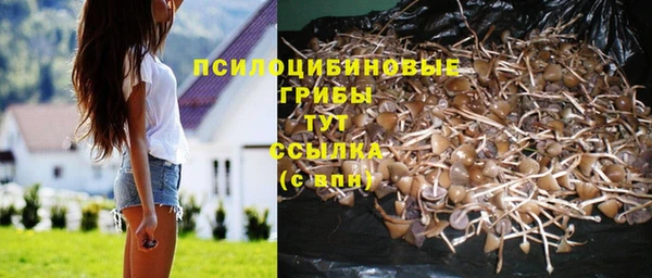 мдма Магас
