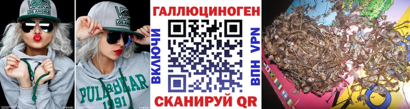 Галлюциногенные грибы Psilocybine cubensis  Каменск-Уральский 