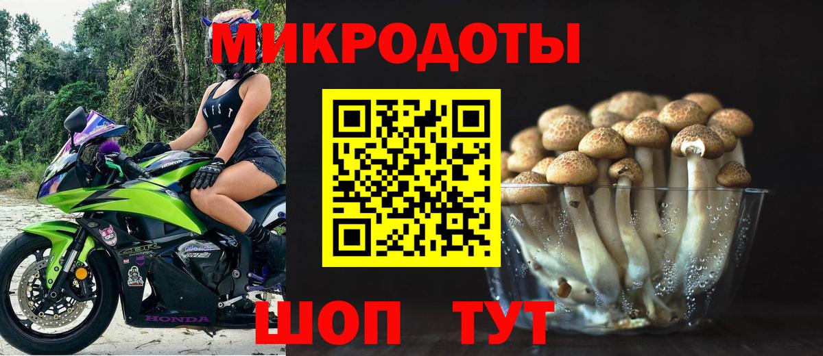 Псилоцибиновые грибы мицелий  Вход с VPN  Каменск-Уральский 